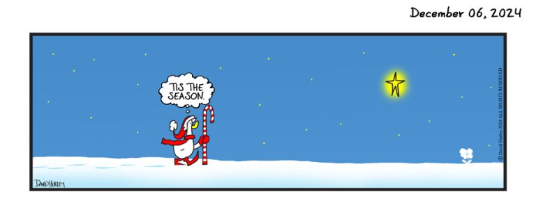 Tis The Season (12062024)