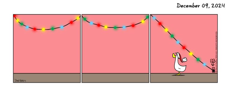 The Lights (12092024)