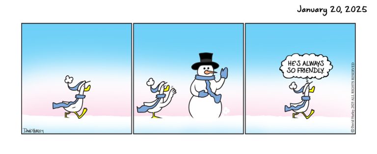 Friendly Snow (1202025)