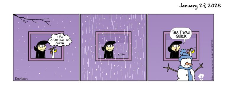 Quick Snow (01272025)