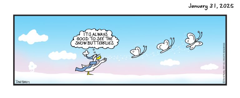 Snow Butterflies (01312025)