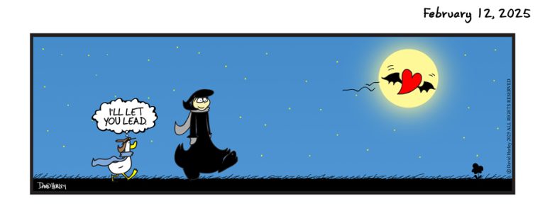 Night Stroll (02122025)