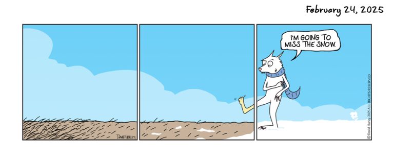 Snow Miss (02242025)