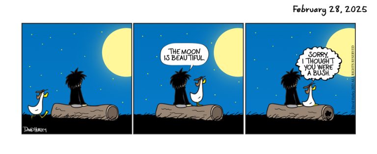 The Moon Bush (02282025)