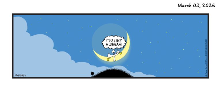 Duck Dream (03042025)