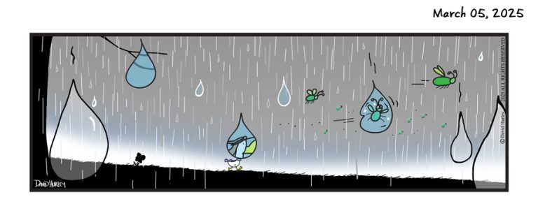 Raindrops (03052025)