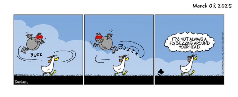 Robot Bat Buzz (03072025)