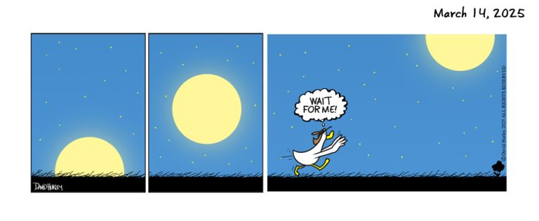 Moon Rise (03142025)