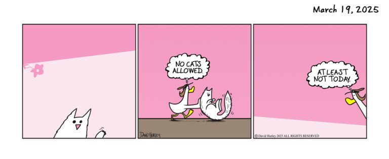 Not Today (03192025)