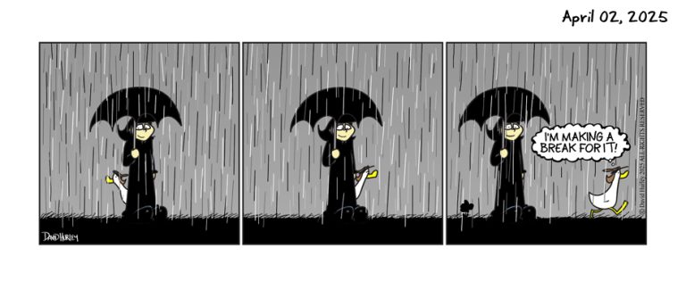 Waiting For The Rain (04022025)