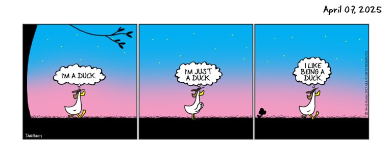 Like Duck (04072025)