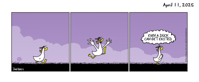 Excitable Duck (04112025)