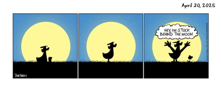 The Silhouette (04302025)