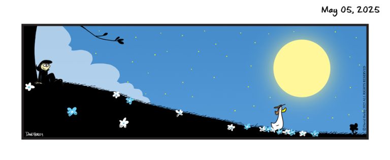 Flowers At Night (05052025)