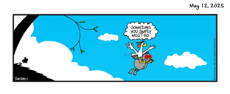 Clear Sky (05122025)