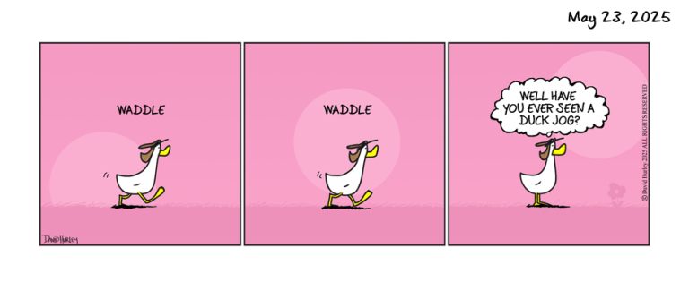 Waddle (05232025)