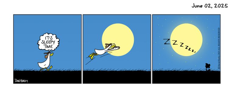 Into The Moon (06022025)