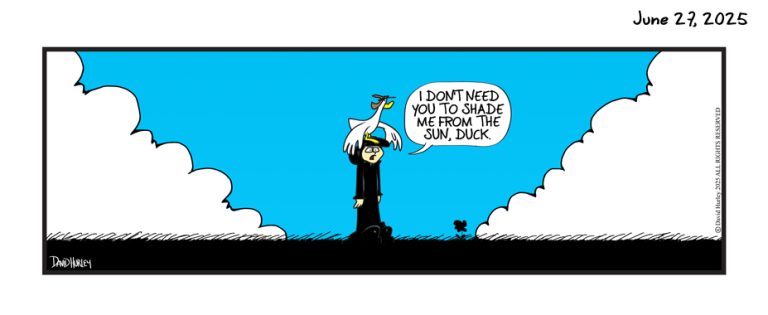 The Shade (06272025)