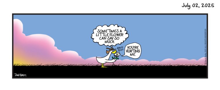 The Flower (07022025)