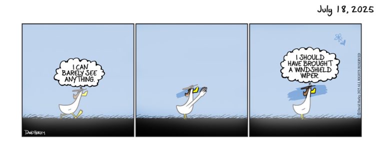 Foggy Fog (07182025)