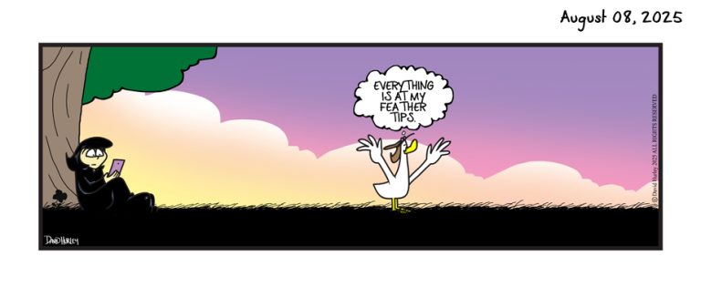 Feather Tips (08082025)