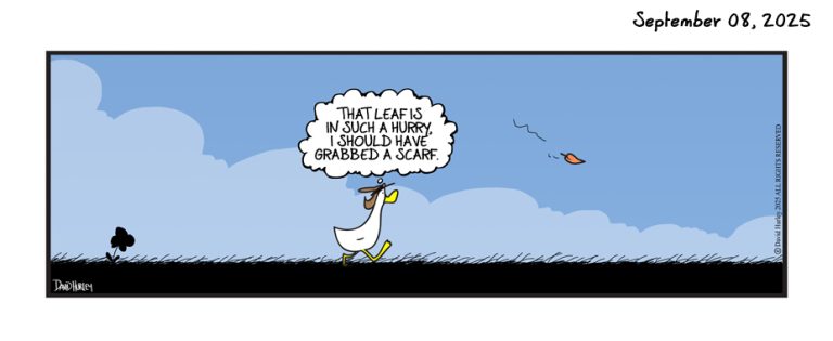 As The Wind Blows (09082025)