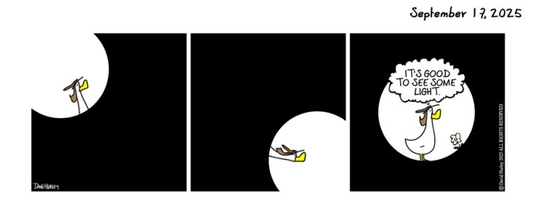 In The Light (09172025)