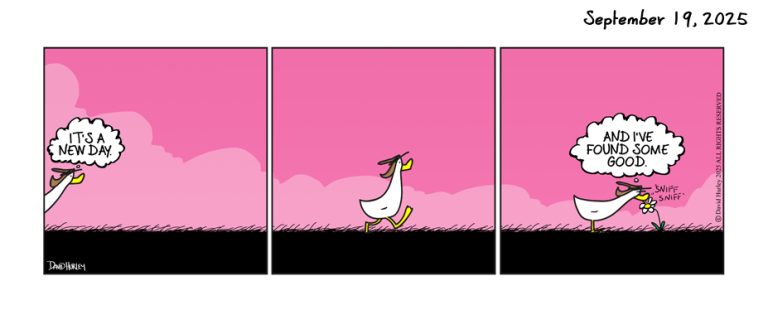 A New Day (09192025)