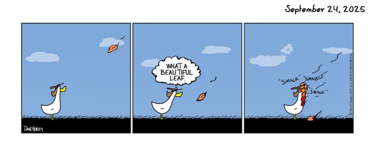 Beautiful Leaf (09242025)