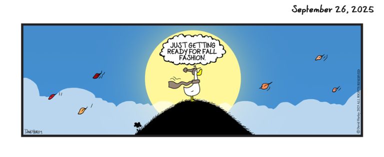 Duck Fashion (09262025)