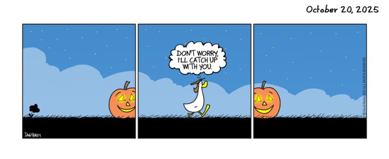 The Pumpkin Slide (10202025)