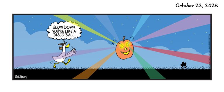 Pumpkin Lights (10222025)