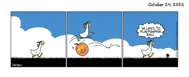 Pumpkin Ball (10242025)