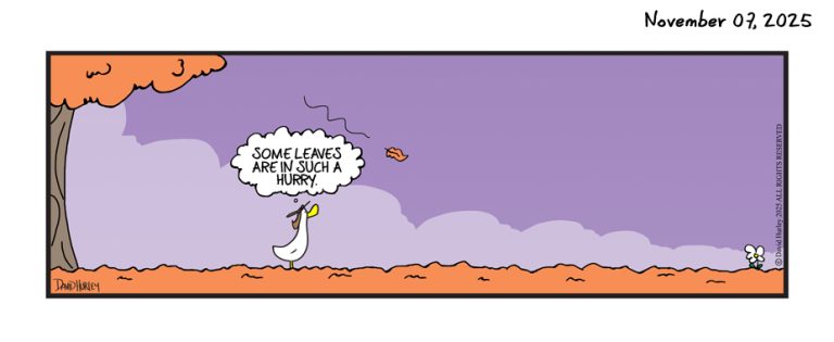 The Hurry (11072025)