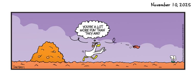 Leaf Gone Wild (11102025)