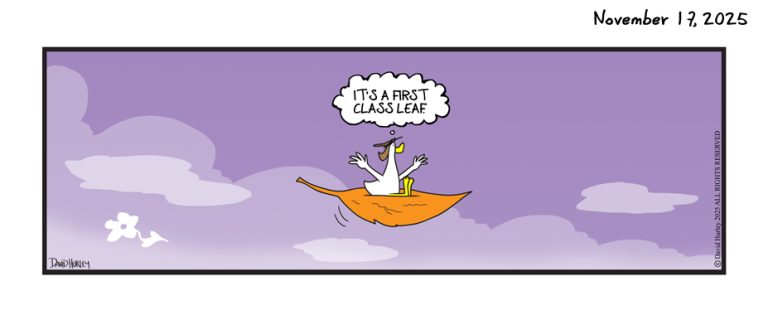 Leaf Ride (11172025)