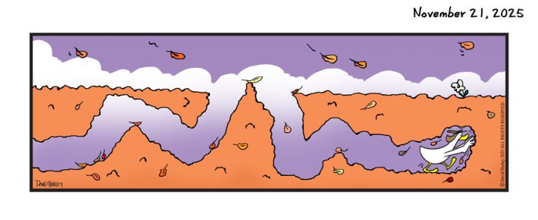 Leaf Farm (11212025)