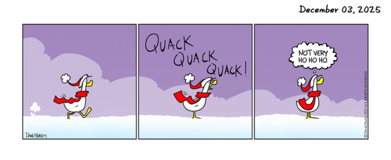 Quack Quack (12032025)