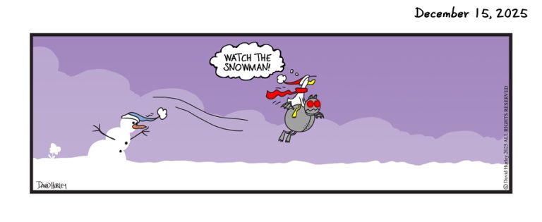 The Fly By (12152025)