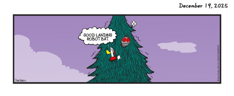 The Landing (12192025)