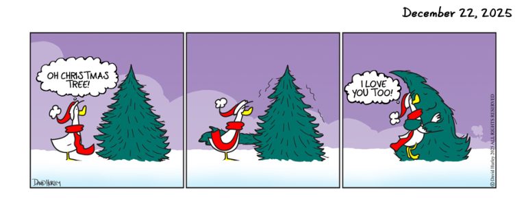 Hug That Tree (12222025)