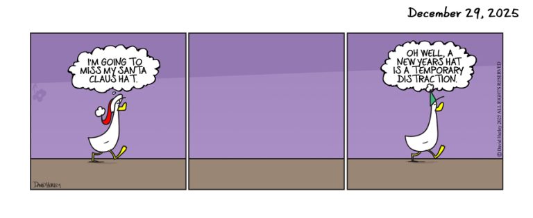 New Years Hat (12292025)