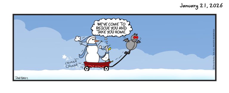 The Rescue (01212026)