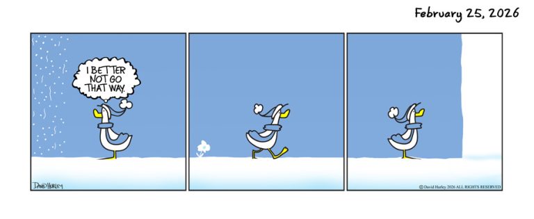 A lot of Snow (02252026)