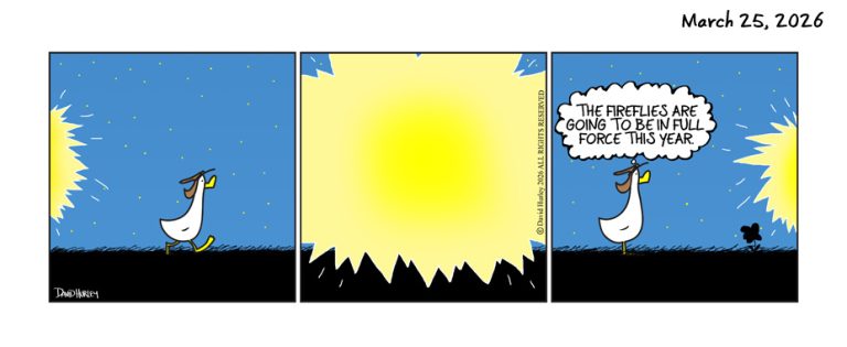 The Firefly (03252026)